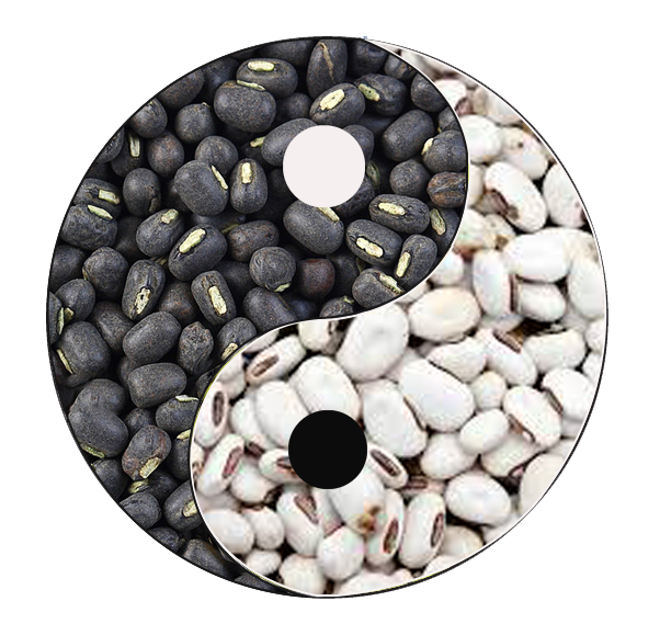 เกี่ยวกับเรา